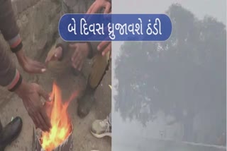 Gujarat Weather Update : રાજ્યમાં કોલ્ડ વેવની આગાહી, આટલા દિવસ રાખો આવી તૈયારીઓ