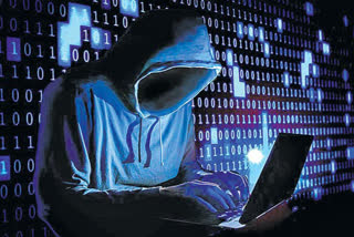 Cyber crime cases