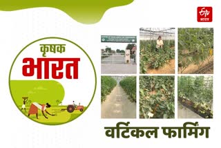 soil free vertical farming in karnal