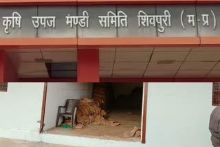 shivpuri theft in warehouse