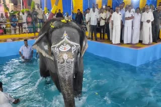 swimming-pool-in-kumbakonam-adi-kumbeswara-temple-specially-for-elephant