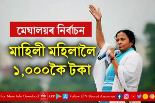 TMC Election Manifesto