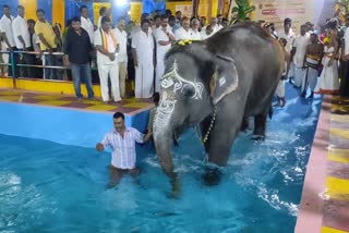 Adikumbeswarar temple  Adikumbeswarar temple opens swimming pool  tamilnadu  kumbakonam  തഞ്ചാവൂർ  തമിഴ്‌നാട്  ആദി കുംഭേശ്വരർ ക്ഷേത്രം  ആനക്കായി നീന്തൽക്കുളം  ഇനി മംഗലത്തിന് നീന്തിത്തുടിക്കാം