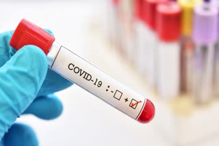 Coronavirus Update, Total Case Of Coronavirus, Coronavirus in India