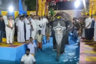 Mahouts taking elephant to the bathing pool in Thanjavur