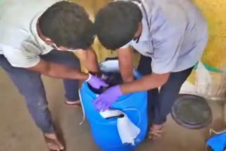 women dead body found in drum case  women dead body found in drum Bengaluru  lookout notice issued  Bengaluru women dead body found  Yeswantpur railway station  lookout notice  latest news in bengaluru  latest national news  latest news today  പ്ലാസിക്ക് ഡ്രമ്മില്‍ മൃതദേഹം കണ്ടെത്തിയ സംഭവം  റെയില്‍വേ സ്‌റ്റേഷനില്‍ മൃതദേഹം കണ്ടെത്തി  പ്ലാസ്‌റ്റിക്ക് ടെയ്‌പ്പ് ചുറ്റപ്പെട്ട നിലയില്‍  യശ്വന്ത്പൂര്‍ റെയില്‍വേ സ്‌റ്റേഷന്‍  റെയില്‍വേ എസ്‌പി സൗമ്യലത  ലുക്കൗട്ട് നോട്ടീസ്  ബെംഗളൂരു ഏറ്റവും പുതിയ വാര്‍ത്ത  ഇന്നത്തെ പ്രധാന വാര്‍ത്ത  ഏറ്റവും പുതിയ ദേശീയ വാര്‍ത്ത