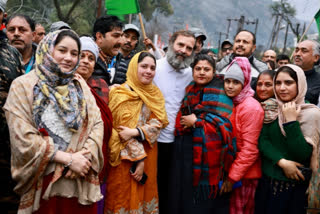 Picture Courtsey- Delegation of Kashmiri Pandit met with Rahul Gandhi in his Bharat Jodo Yatra