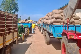 ರಾಗಿ ಖರೀದಿ ಕೇಂದ್ರದಲ್ಲಿ ಹಮಾಲಿಗಳ ಕೊರತೆ