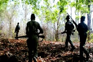 Naxalites kills villager In Bijapur