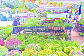 Grand Nursery Mela in Hyderabad