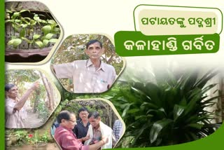 ପଦ୍ମଶ୍ରୀ ପାଇବେ ପଟାୟତ ସାହୁ