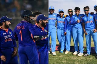 india vs new zealand match