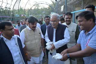 Chhattisgarh biggest aviary inaugurated