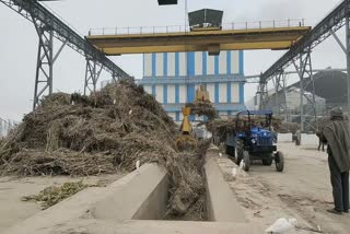 Farmers reached sugarcane in Karnal