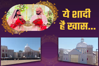 Royal wedding of NRI daughter, NRI daughter attractive pandal worth crore rupees