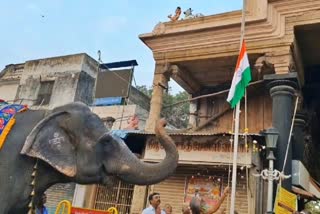 republic-day-celebration-temple-elephant-salute-to-national-flag-dot