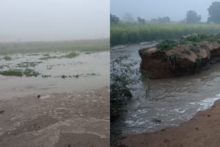 Villagers accuse Rewari Irrigation Department