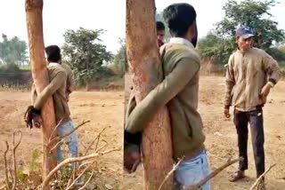 beating up youth tied to a tree in narmadapuram