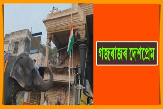 Temple Elephant salute to National Flag