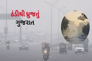 Gujarat Weather : બર્ફીલા પવન સાથે ઠંડીના ઠારમાં રાજ્ય, વધુ એક શીત લહેરની ચેતવણી