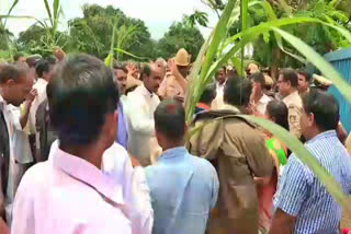 sugarcane growers  Sugar factory  Protest of sugarcane growers