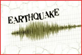 Earthquake Shocks News
