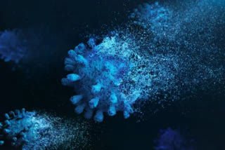 Antibodies against coronavirus 'coldspots' discovered, may fight future coronaviruses: Study