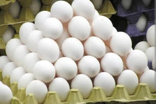 Fall in egg prices