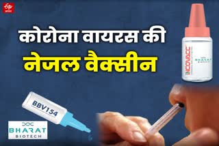 intranasal Covid vaccine by Bharat Biotech nasal vaccine