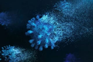 researchers found Coldspots of Coronavirus which may fight with infection in future