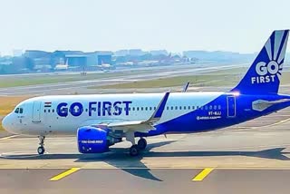 Etv Bharat Penalty On Go First Airline