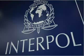 Authenticity of Interpol notice