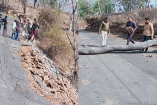 Sheopur To Morena Main Road Bridge Collapsed