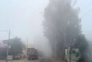 Weather Update in Haryana