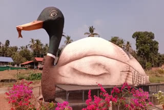 duck nest  giant duck nest in kasargod  giant duck nest  kasargod duck nest  big duck nest  പി​ലി​ക്കോ​ട് കാ​ർ​ഷി​ക ഗ​വേ​ഷ​ണ കേ​ന്ദ്രം  കാ​ർ​ഷി​ക ഗ​വേ​ഷ​ണ കേ​ന്ദ്രം ഭീമൻ താ​റാ​വ് കൂട്  ഭീമൻ താറാവ് കൂട്  താറാവ് കൂട്  സംയുക്ത കൃഷി  കാസർകോട് താറാവ് കൂട്  ഫാം കാർണിവൽ കാസർകോട്  farm carnival