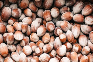 Eating mixed tree nuts helps reduce cardiovascular risk: Research