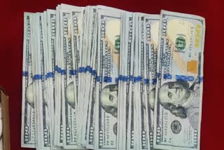 Customs officials seized US dollars hidden in inner wear