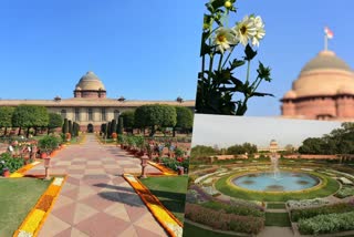 Rashtrapati Bhavans Mughal Gardens renamed Amrit Udyan