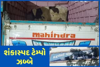 Vadodara Crime ડભોઈમાં ગૌરક્ષકોએ પકડ્યો ટેમ્પો, પશુઓને કતલખાને લઈ જવાતા હોવાનું અનુમાન