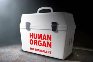 Divisional Organ Donation Authority Committee