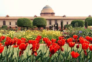 Mughal garden