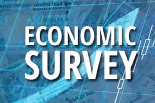 Economic Survey