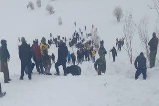 Avalanche in Ladakh region