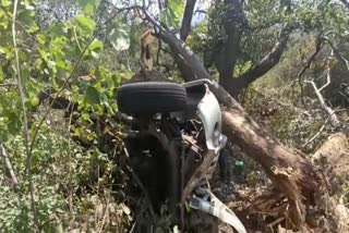 car-overturned-in-dimbam-tamil-nadu-7-people-from-mysore-are-in-critical-condition