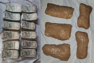 Punjab Police busts another cross border drug smuggling network