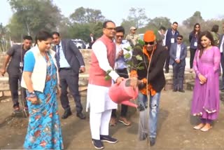 CM Shivraj planted saplings