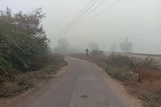 Haryana winter update