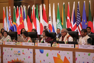 G 20 Summit Started: G 20 Summit started Union Agriculture Minister said