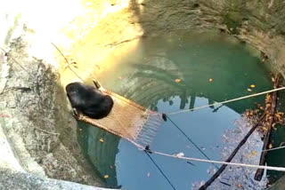 MH forest department saved life of bear  bear which fell into the well in Nanded  ಬೆಳ್ಳಂಬೆಳಗೆ ಬಾವಿಗೆ ಬಿದ್ದ ಎರಡರ ಪೈಕಿ ಒಂದು ಕರಡಿ  ಕಾರ್ಯಾಚರಣೆ ಬಳಿಕ ಕರಡಿ ರಕ್ಷಣೆ  ವಿದರ್ಭದ ಖಾರ್ಬಿ ವನ್ಯಜೀವಿ ಇಲಾಖೆ  ಕರಡಿಯನ್ನು ಬಾವಿಯಿಂದ ಹೊರತೆಗೆಯಲು ಪ್ರಯತ್ನ