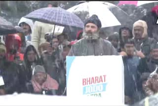 Congress Rahul gandhi on Bharat Jodo Yatra in Jammu and Kashmir